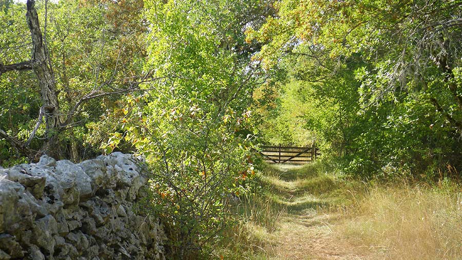 la clède au bout du chemin