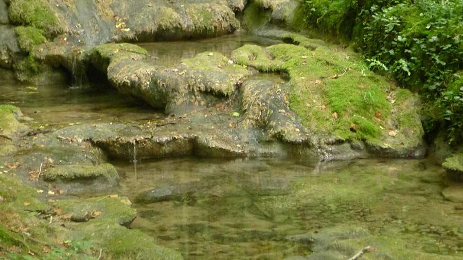 reflets sur l'eau