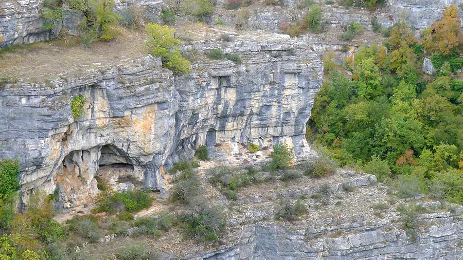 Falaise Lot