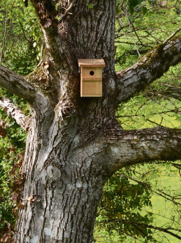 nichoir à La bocagère gîte classé LPO